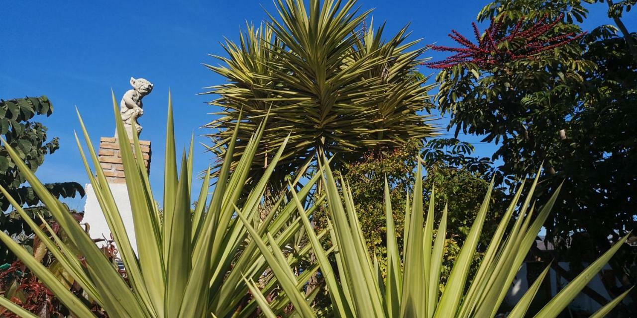Apartamento Costa Tropical Oasis