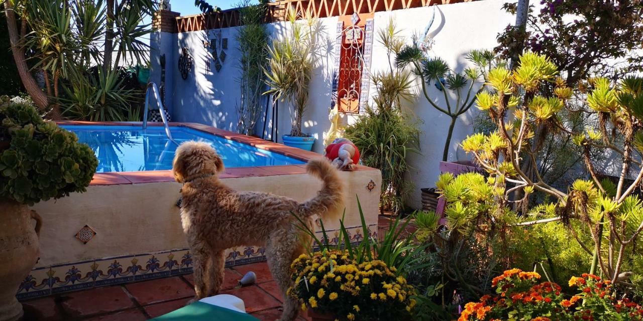Apartamento Costa Tropical Oasis Motril