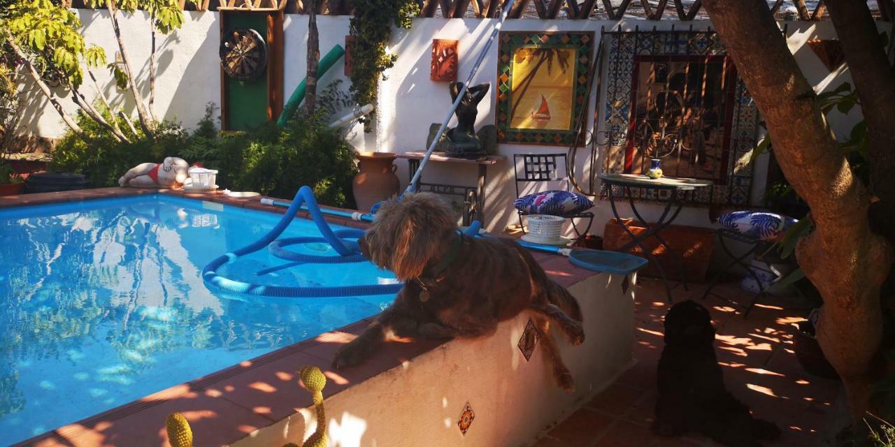 Costa Tropical Oasis Motril