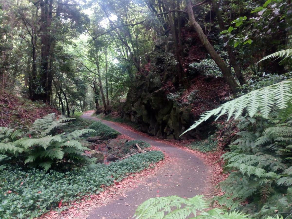 Il Gabbiano Apartamento Playa Cancajos.- BreNa Baja (la Palma)