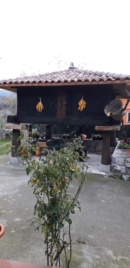 Flor De Pomar Сasa de vacaciones