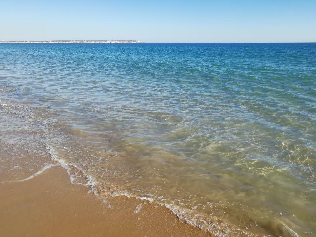 Luxurious House In At El Pinet Holiday home La Marina