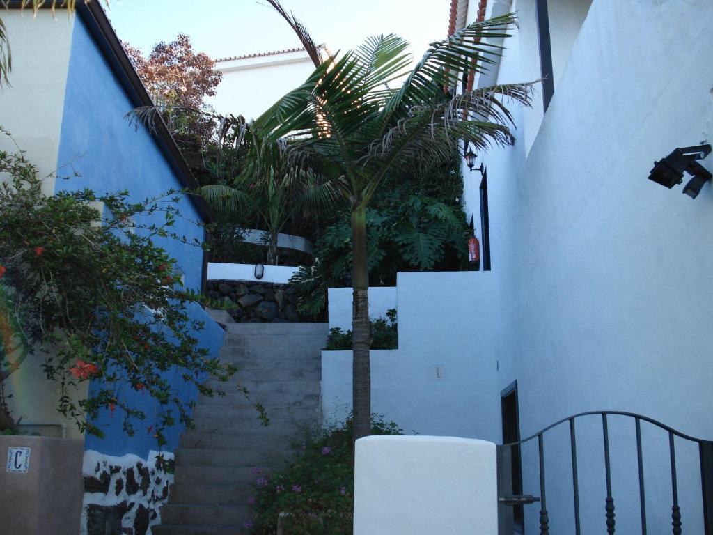 Y Colón