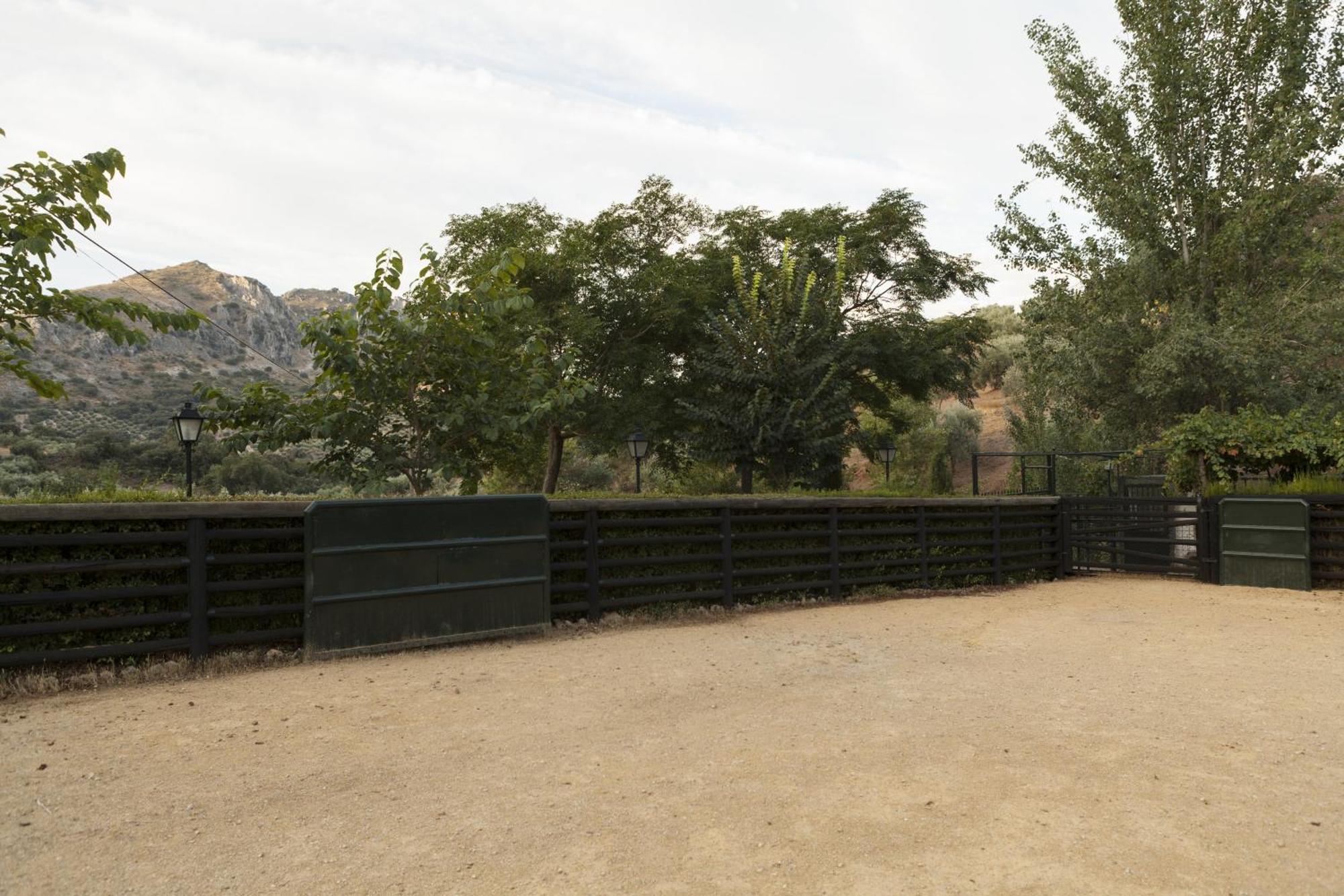 Cortijo La Algallumbilla Holiday home *