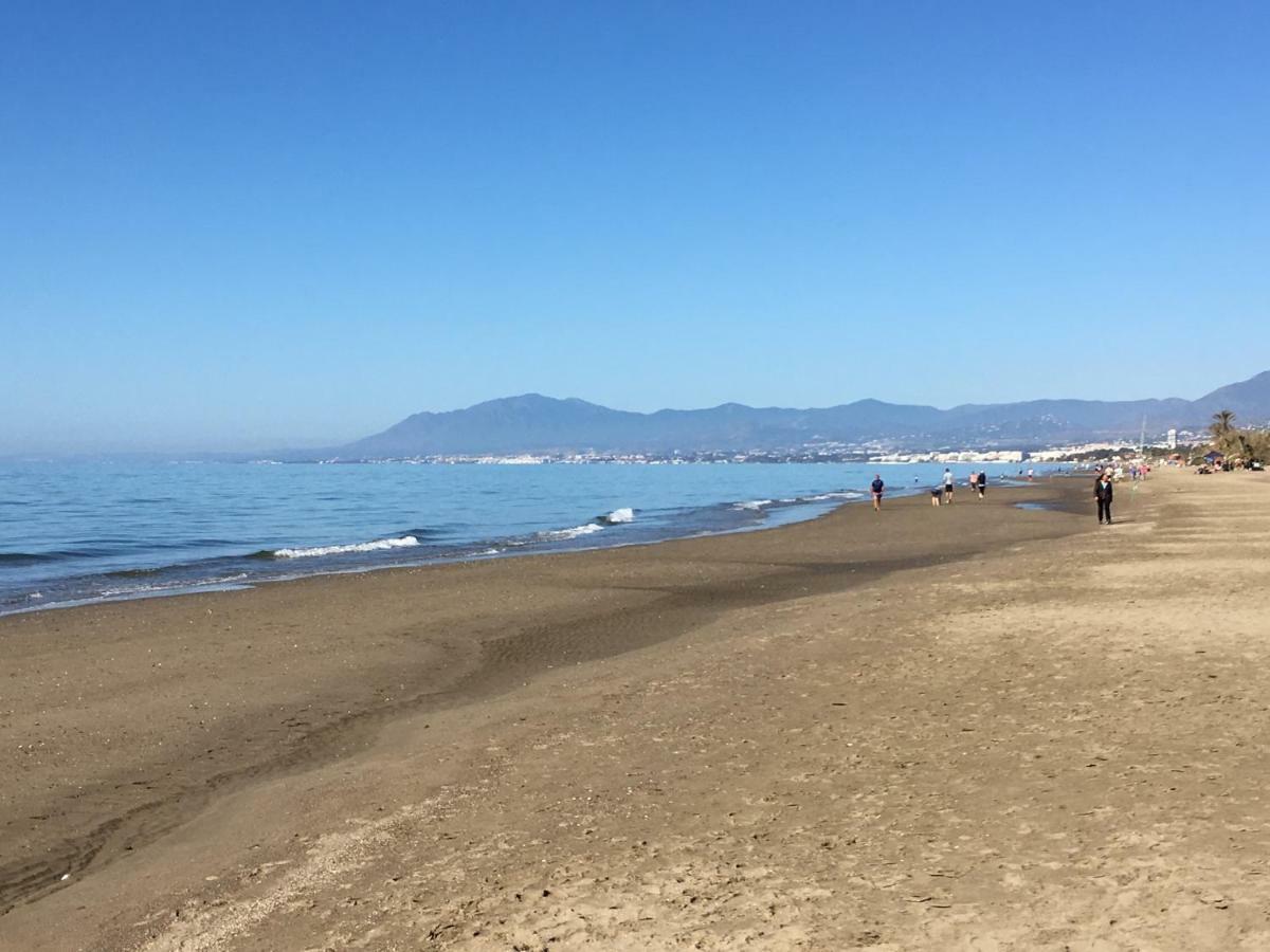 Apartamento Estudio Primera Linea 50 Mtrs Playa. Fibra 600mb