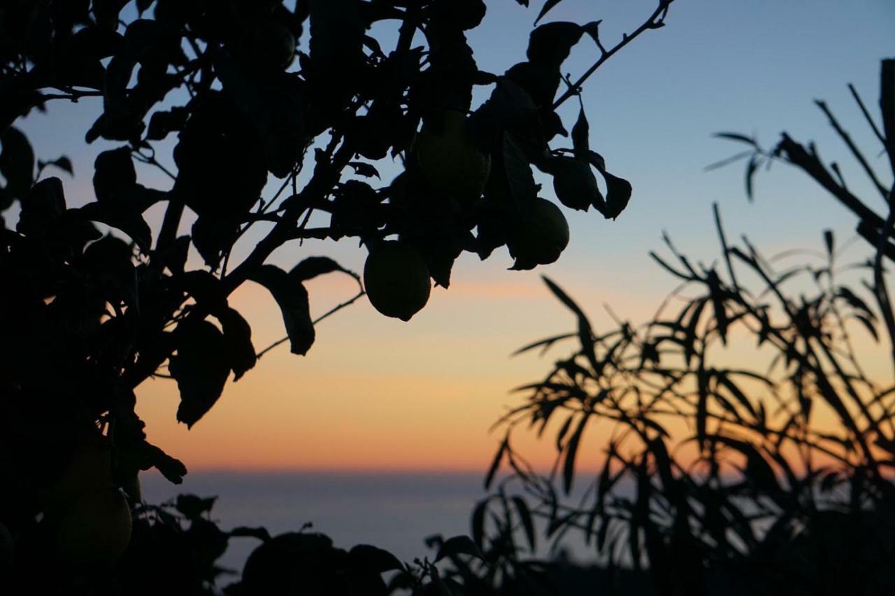 Tranquilidad *