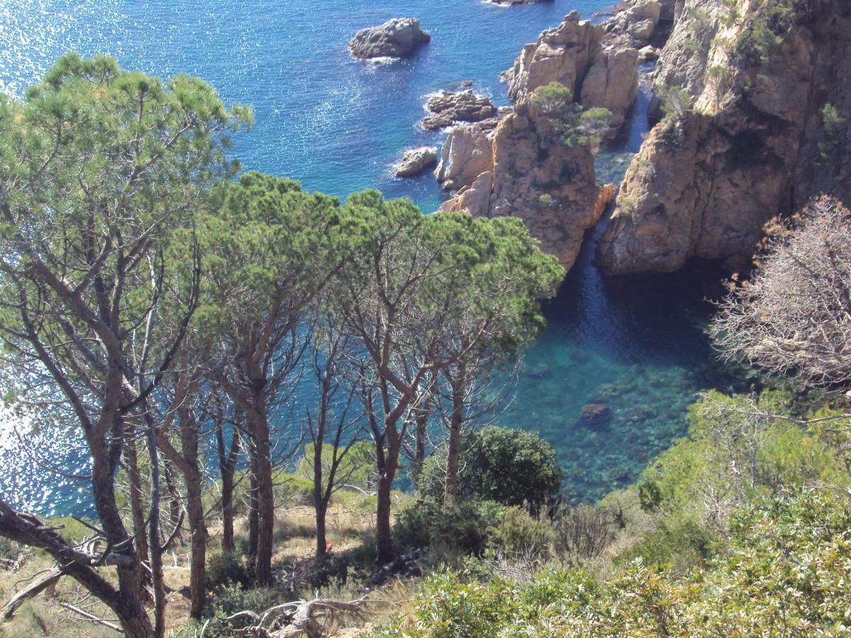 Apartamento Victor Tossa de Mar