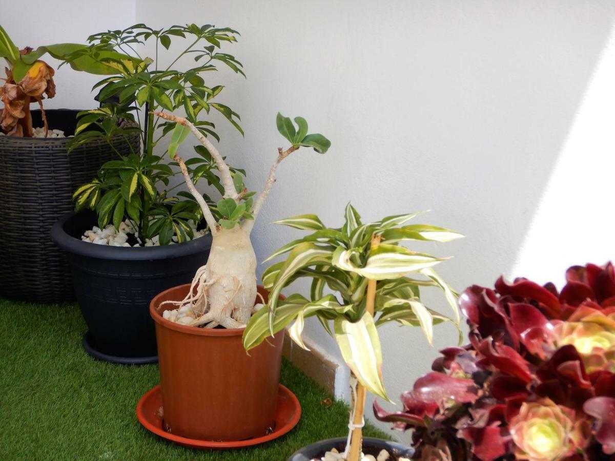 Sarah Apartment Morro Jable (Fuerteventura)