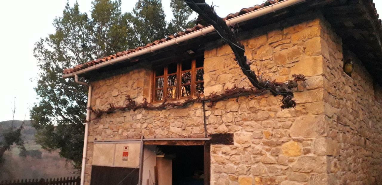 Flor De Pomar