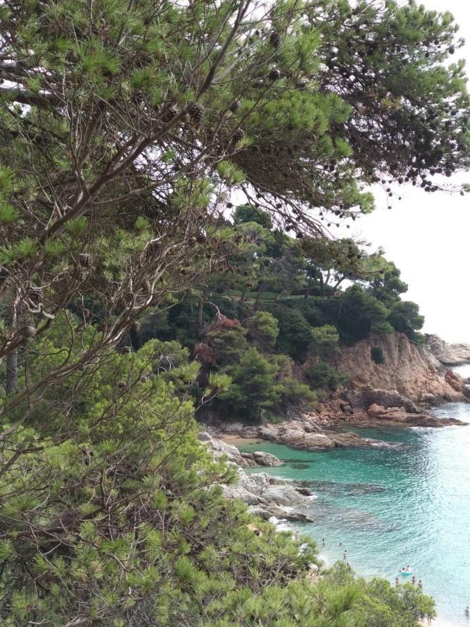 Apartamento Cala Salions, Chalana I Gerona