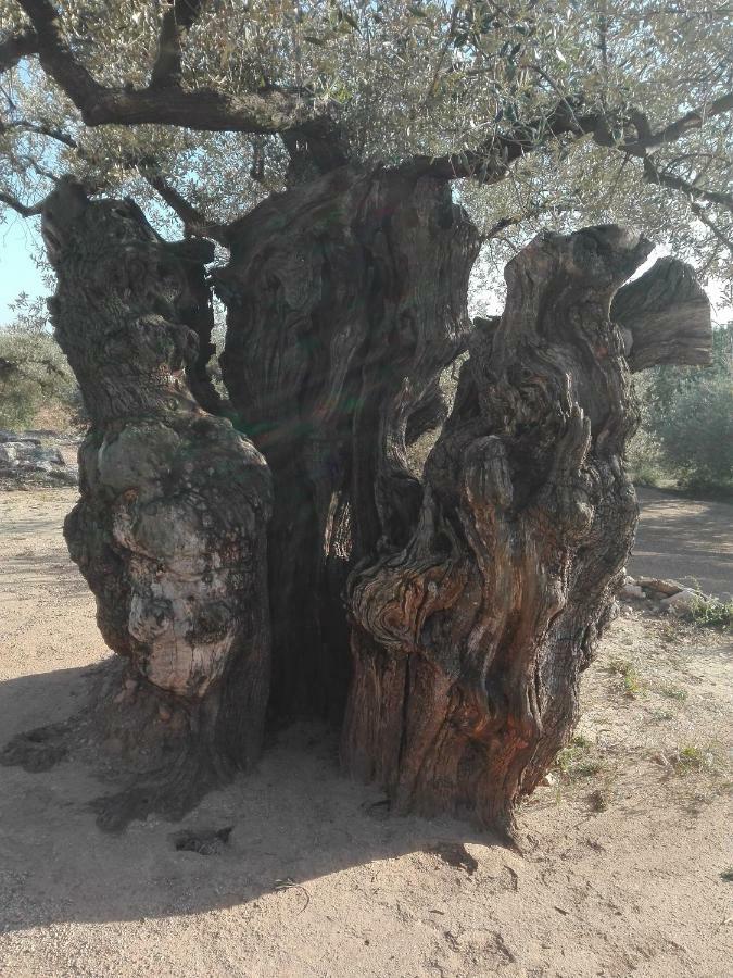 La Mallada San Jorge (Castellon)