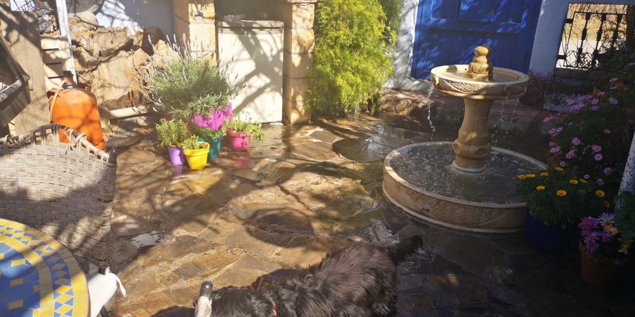 Costa Tropical Oasis