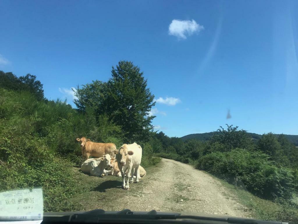 Teodoro Barrio Сasa de vacaciones Aribe