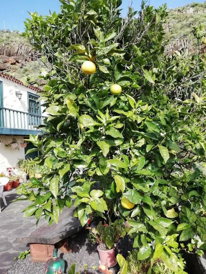 Grosse 19jh, Pool, Terrasse, Nahe Santa Cruz Santa Cruz de la Palma (Isla de la Palma)