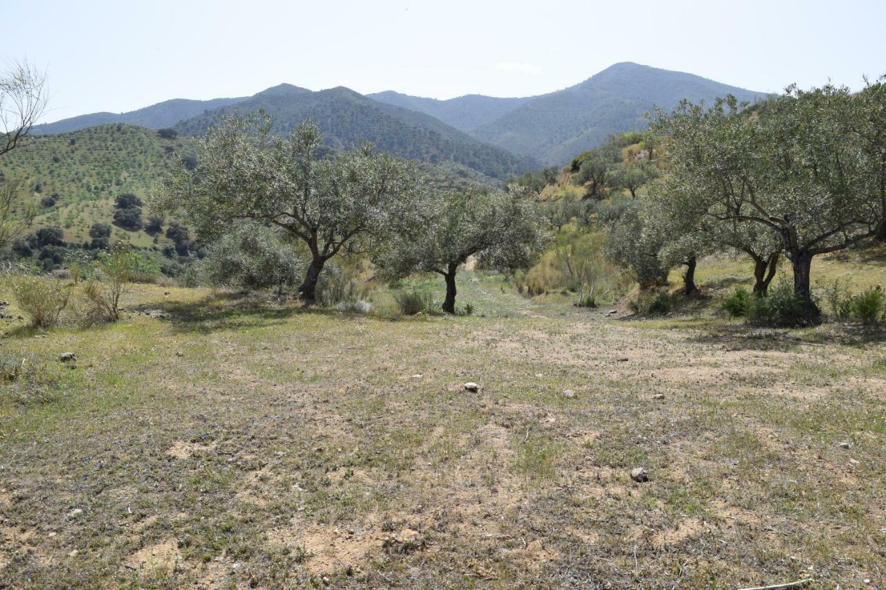 Casa Zona Camino Del Rey Holiday home Bermejo