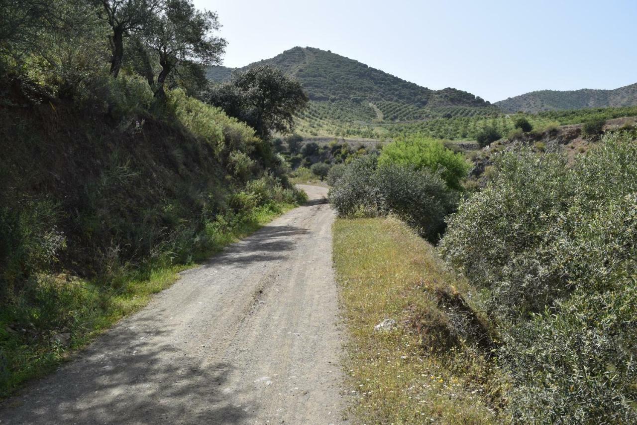 Casa Zona Camino Del Rey Holiday home