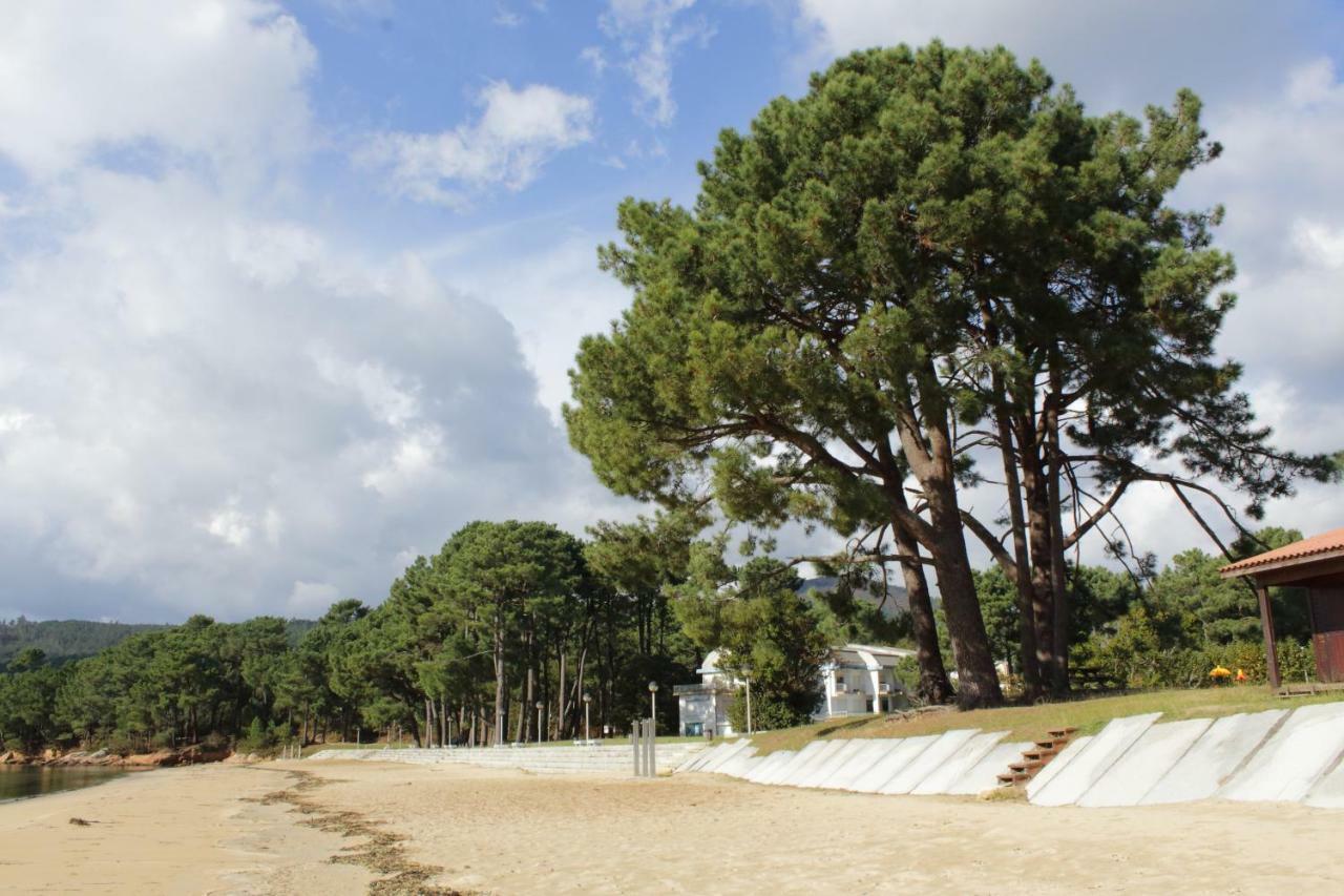 Holiday home O Freixo House