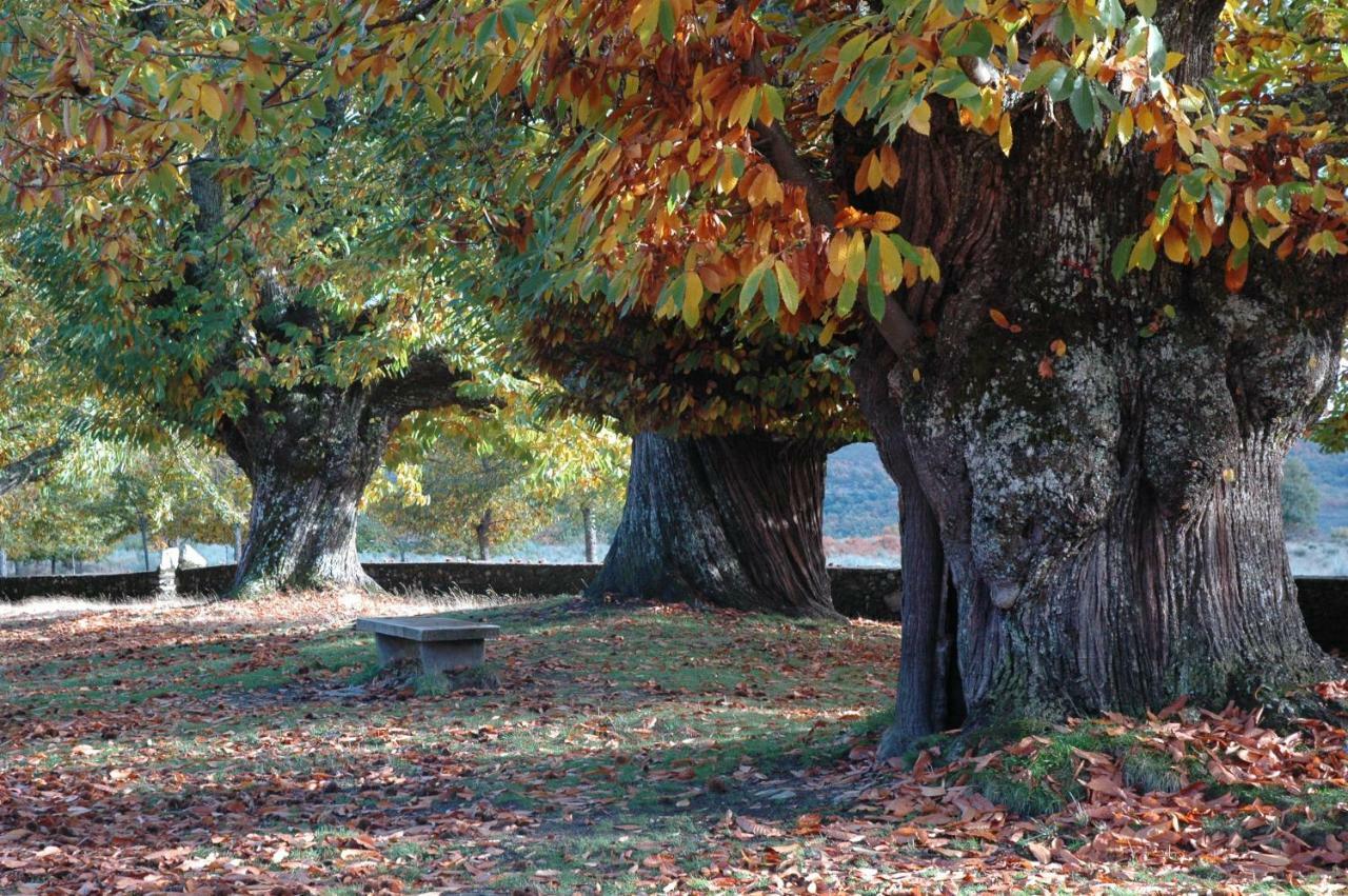 La Era De Sanabria * Villarino de Sanabria