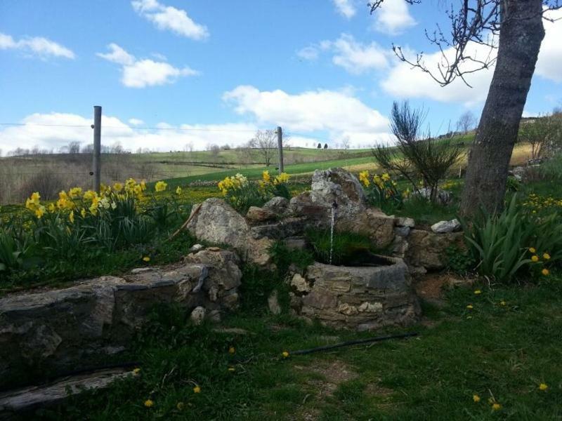 Holiday home Mollo, Vall De Camprodon *