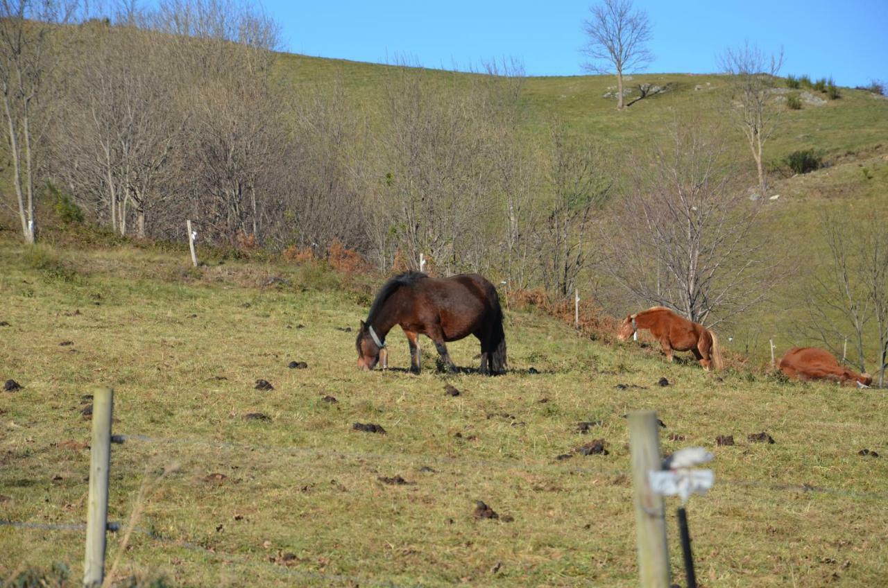 Mollo, Vall De Camprodon *