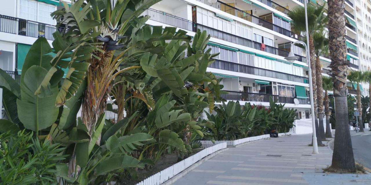 El Balcón Del Mar *
