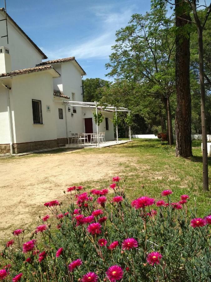 Vina Concepcion Holiday home *