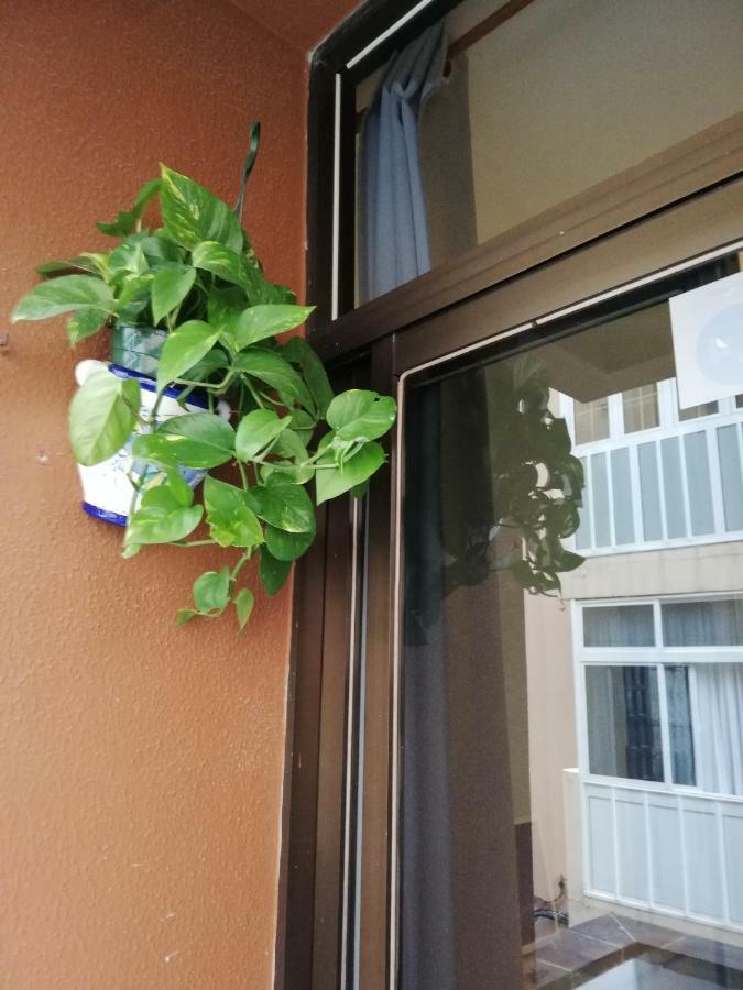Apartment Babelia Las Palmas de Gran Canaria