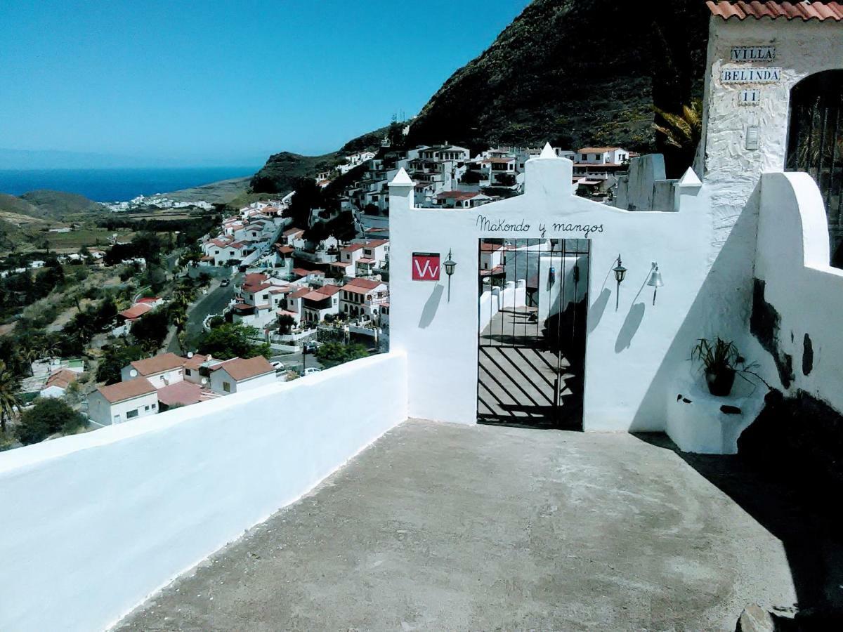 Makondo Agaete (Gran Canaria)