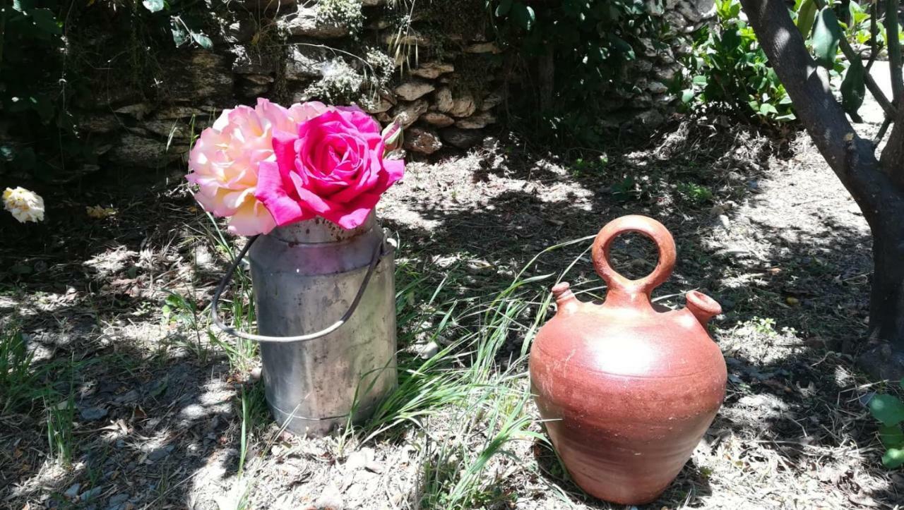 Casa Tita Maria Guest house Bubion