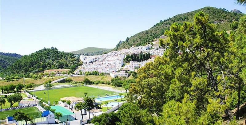 Apartment Pinos 8 Benahavis