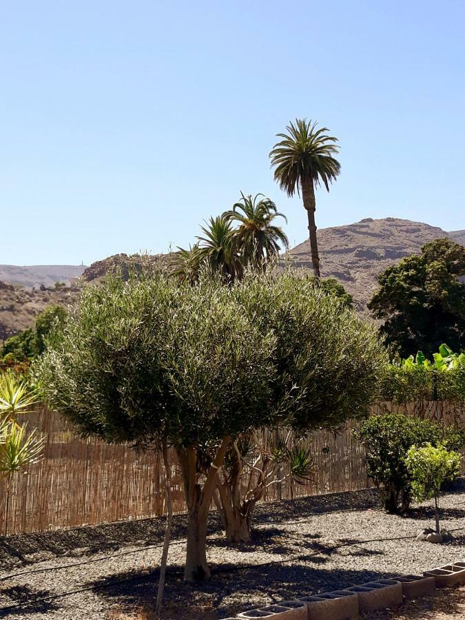 Apartamento Olivos Playa de Santiago (Isla de la Gomera)
