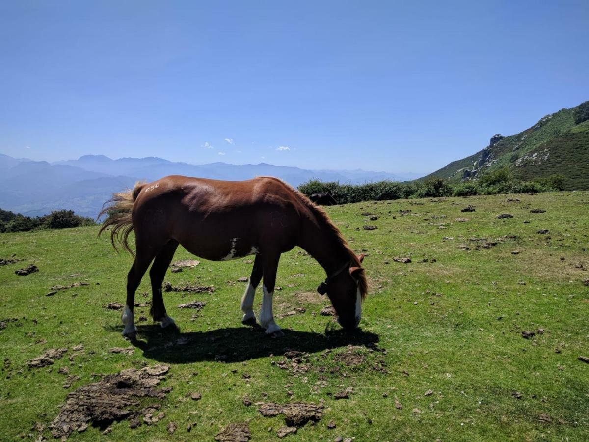 Holiday home La Quintana De Dona Leonor