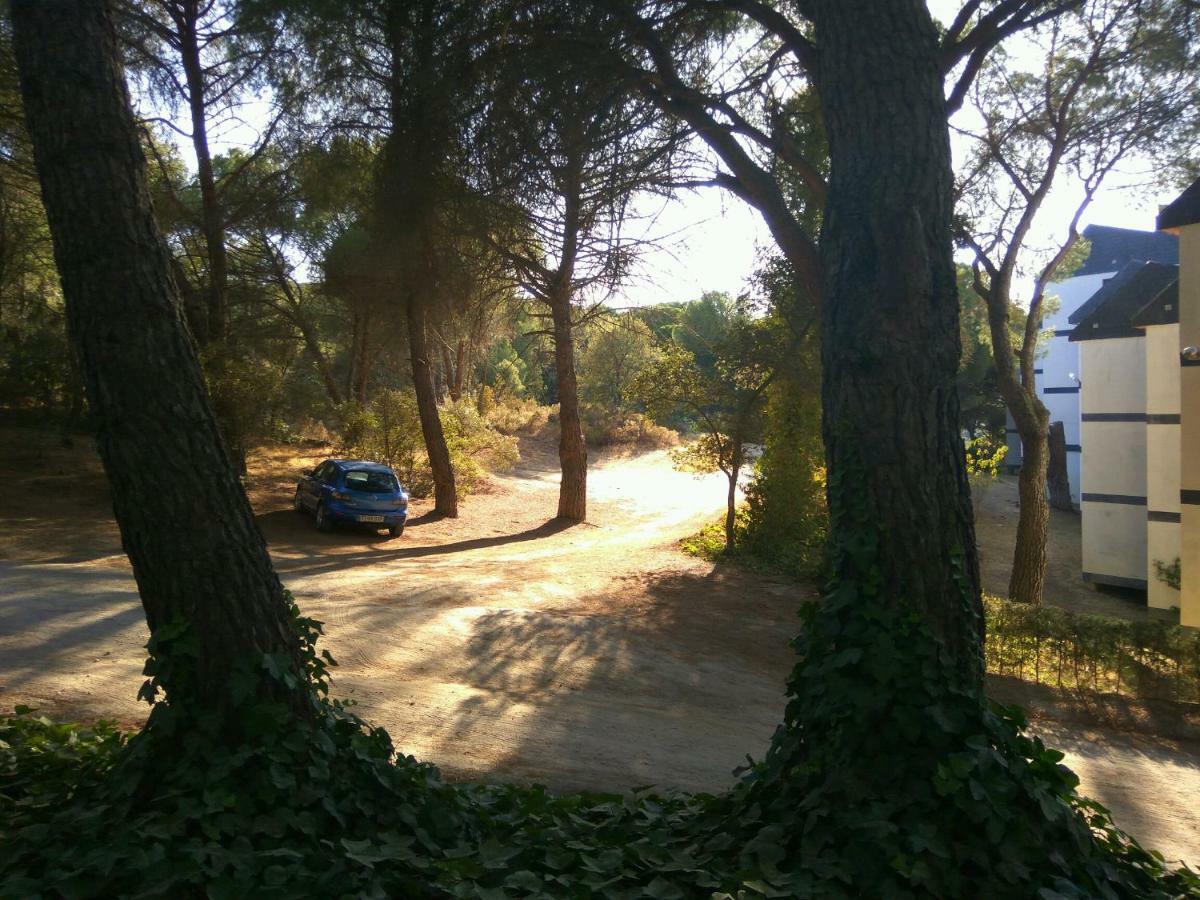 Apartamento Pronto - Costa De Madrid San Martin de Valdeiglesias