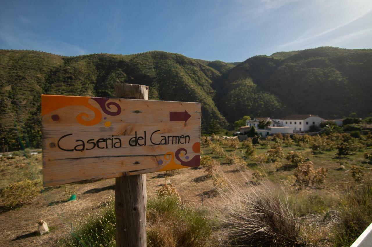 Cortijo La Caseria Del Carmen Сasa de vacaciones Albunol