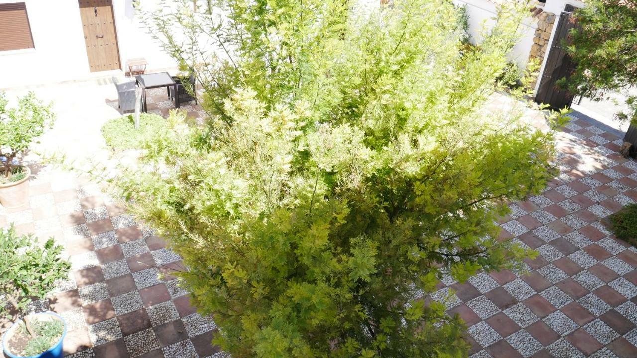 La Perla Blanca - Guest house