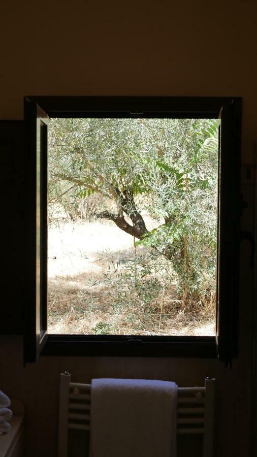 La Perla Blanca - Guest house 3*