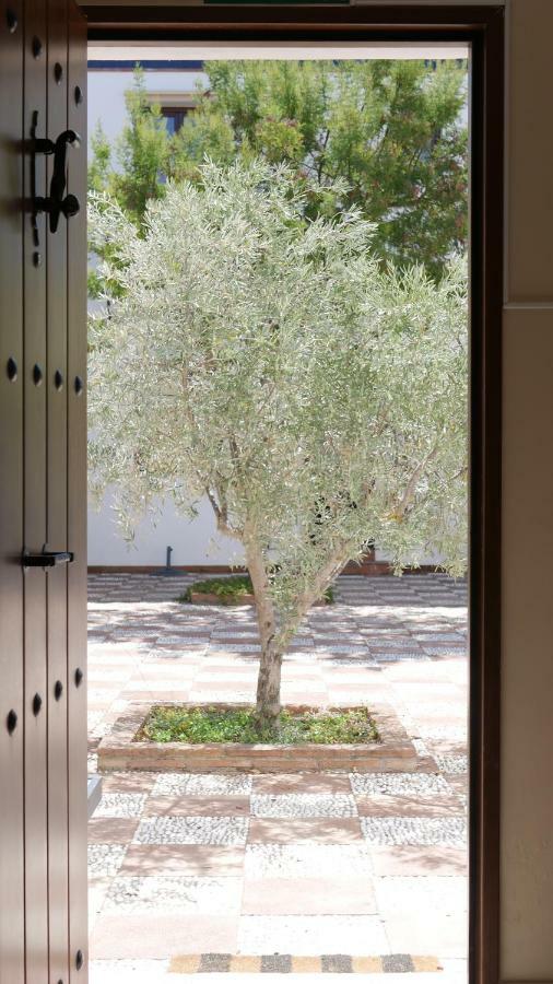 Guest house La Perla Blanca - Ronda