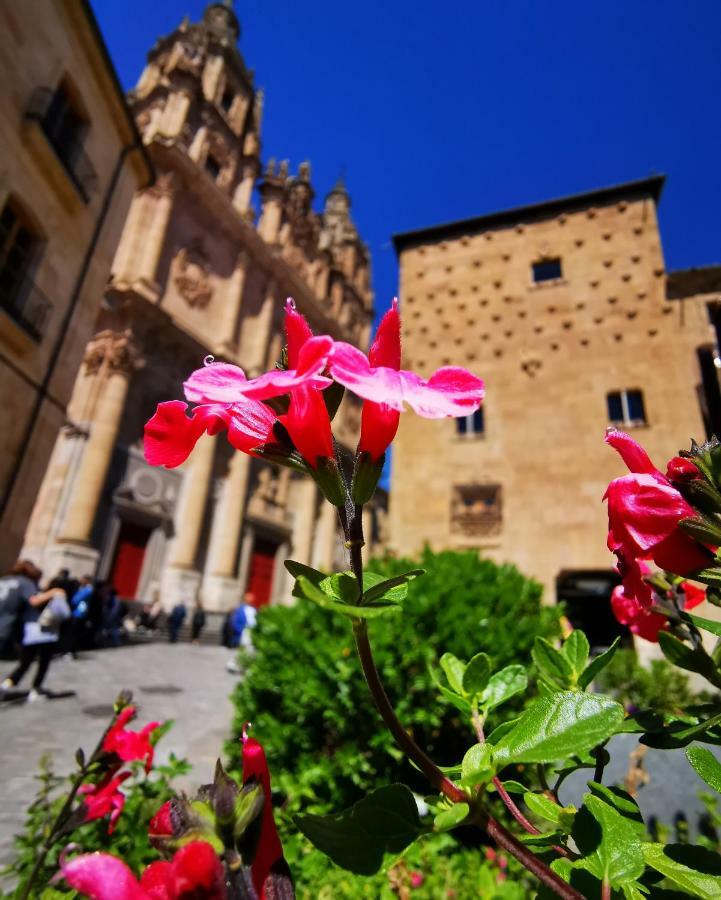 Apartamento Rua Boutique Salamanca