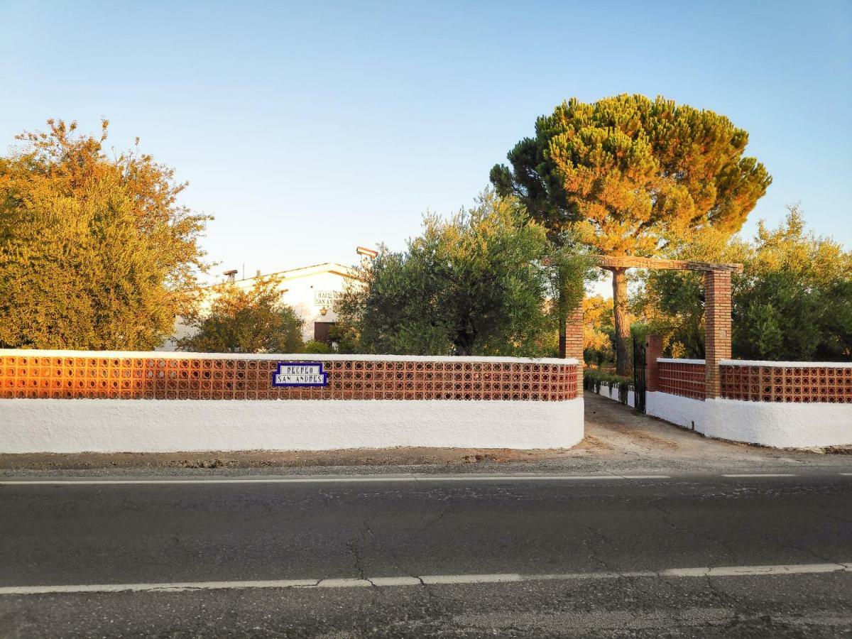 Recreo San Andres Country house Ronda