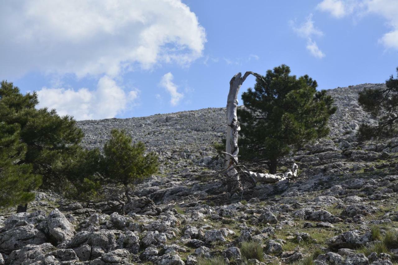 Chorros Del Mundo Country house Riopar