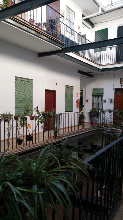 Acogedor En Triana Apartamento *