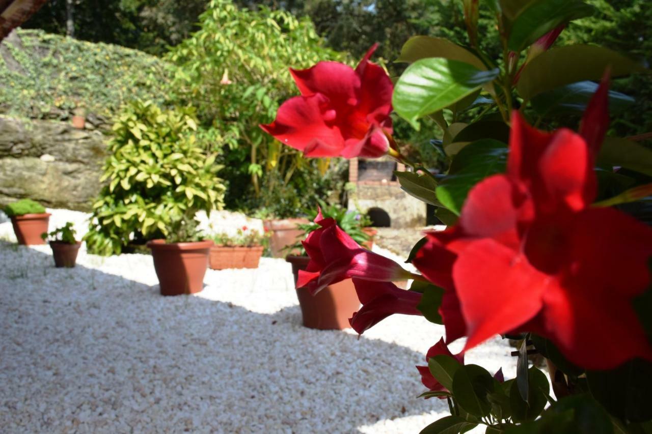 Apartamento O Mencer Do Camiño Cee