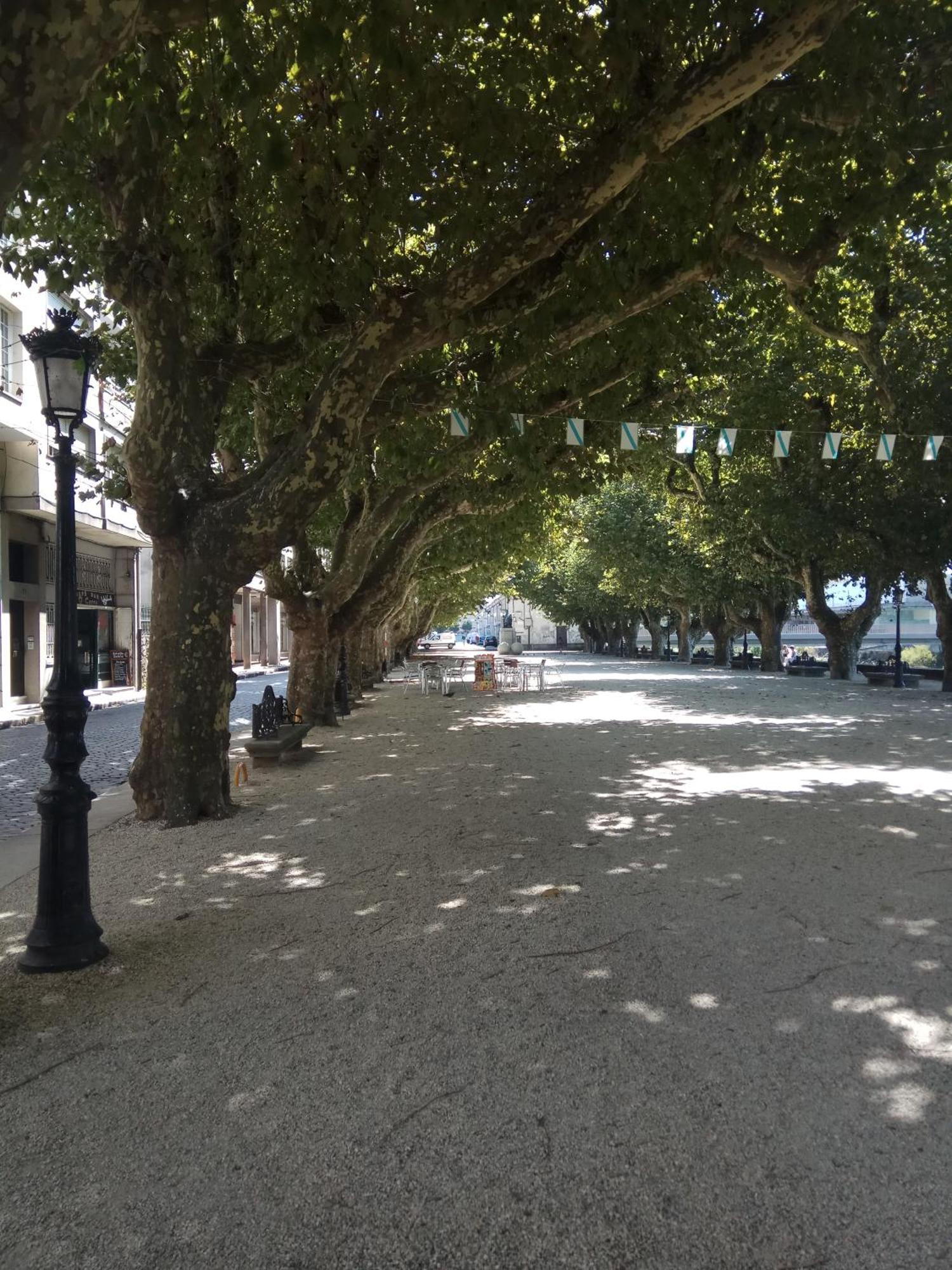 Apartamento El Rincon De Luz