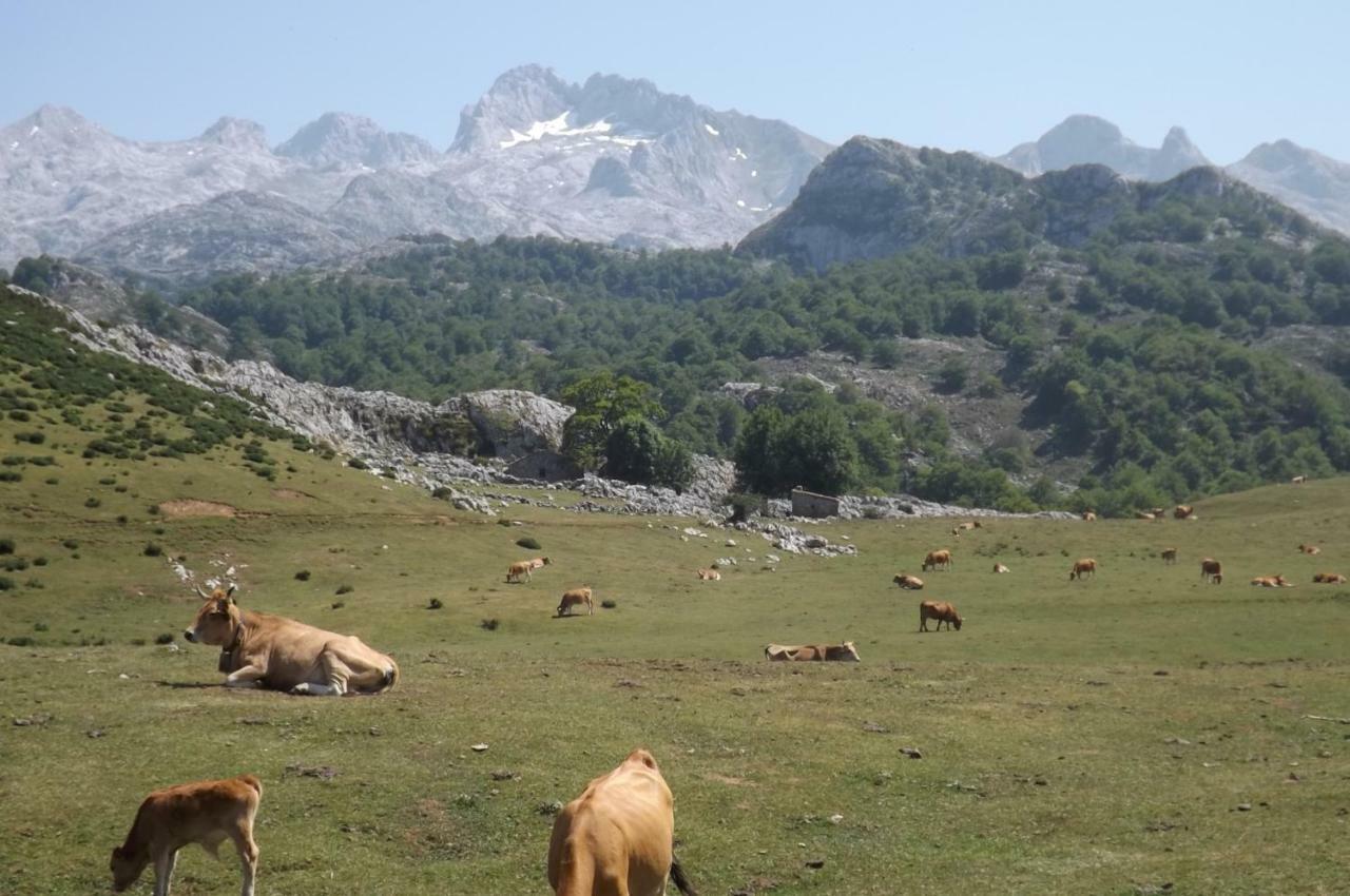 Сasa de vacaciones La Foina Ceceda de Abajo