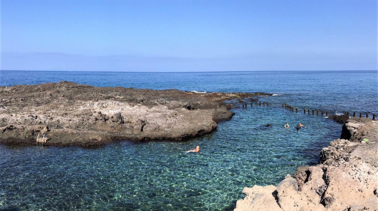 Tortuga's Mood Alcala (Tenerife)