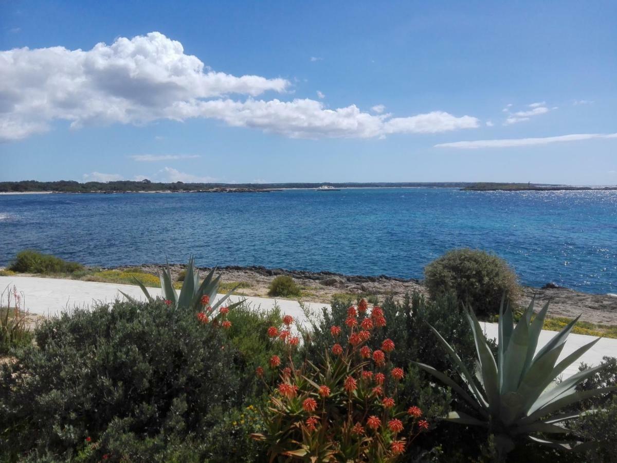 Son Coves Petit Holiday home