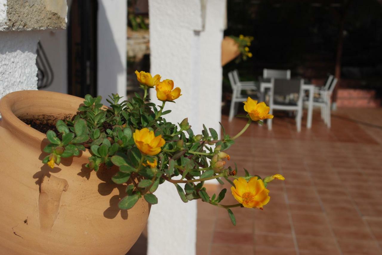Horizonte Villa *