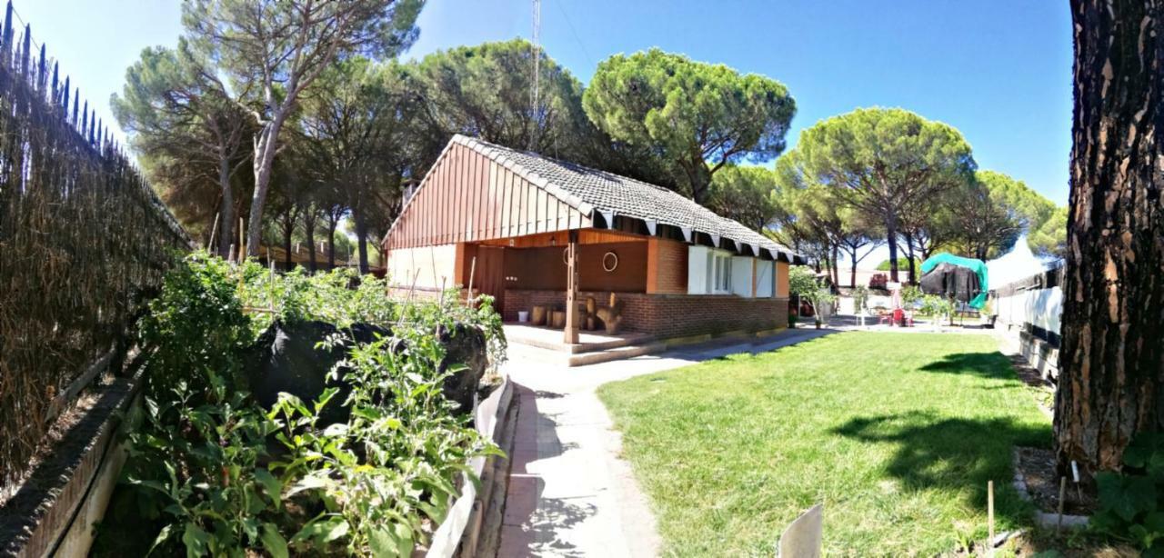 Casa rural La Dama Boba Olmedo