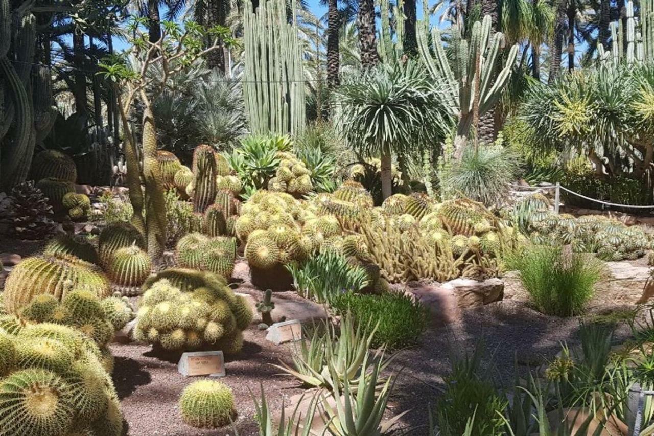 Residential Jardin Del Pintor - La Casa Amarilla