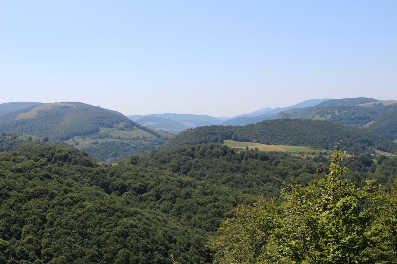 Apartamento Zabalarena Ola Orbaiceta
